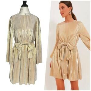 Elegant Gold Pleated Dress